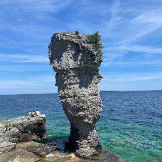 Tobermory➕Flowerspot...