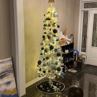 今年家里的三颗圣诞树，图五有彩蛋...