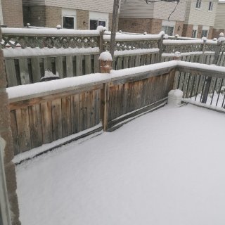 后院的雪