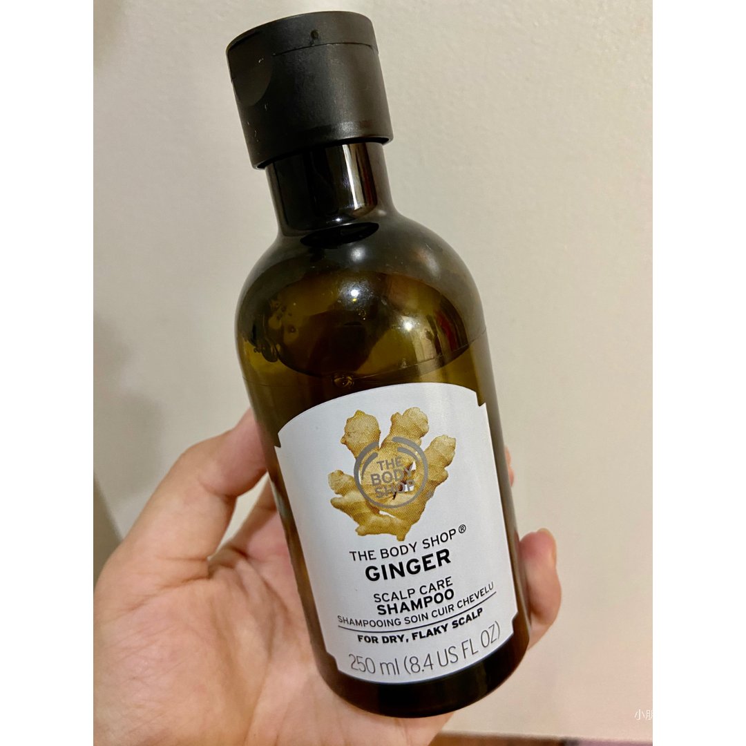 好物推荐,the body shop 美体小铺,ginger shampoo