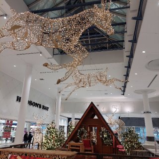 Mall 里的超大圣诞树...