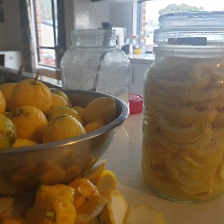 柠檬树丰收了!