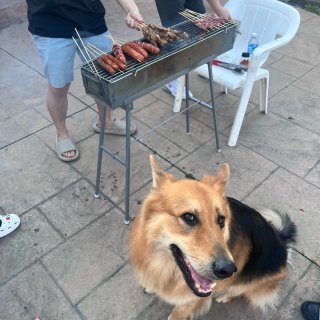 放假啦！天气这么好当然要在后院烧烤呀🍖...