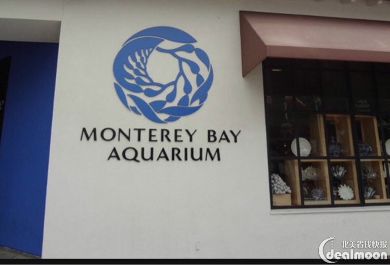 monterey bay aquarium 水族馆(上)之省钱攻略