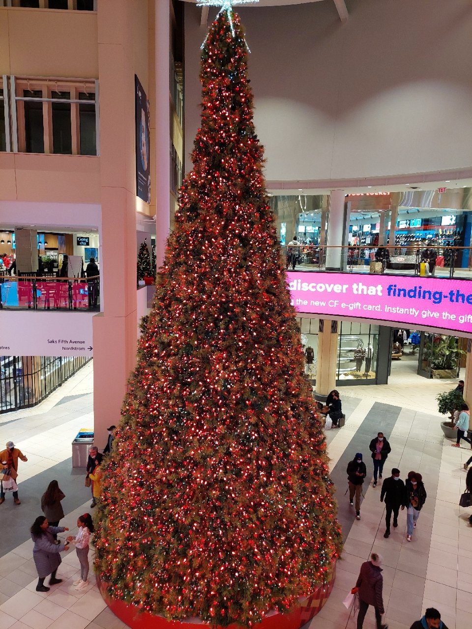 Mall 里的超大圣诞树...