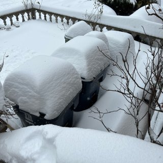 多伦多40+cm雪❄️...