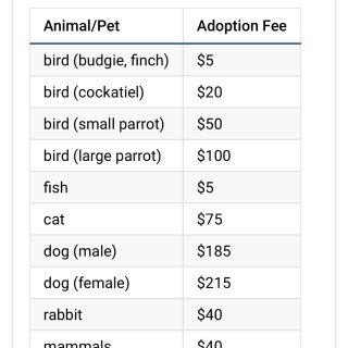 多伦多领养宠物限时折扣高达190加元，猫...