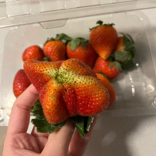 居然是甜的草莓🍓...