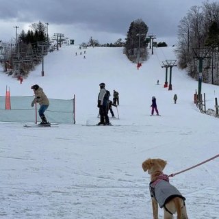 不用去蓝山人挤人👉多伦多公园下个月滑雪场...