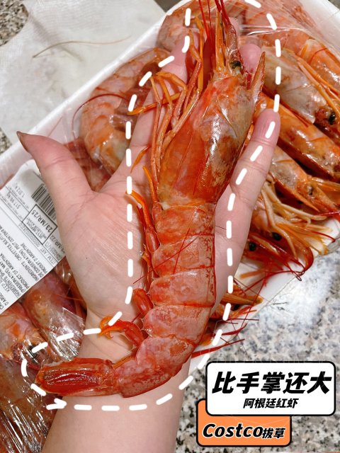 拔草Costco阿根廷红虾👍🏻个头大肉多还行呗