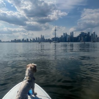 多伦多湖心岛Sup🚣🏾...