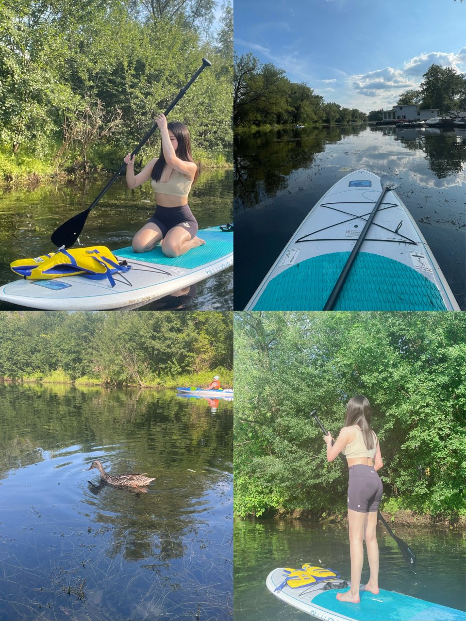 多伦多湖心岛Sup🚣🏾...