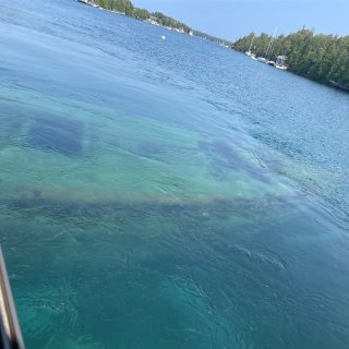 花瓶岛🚢！