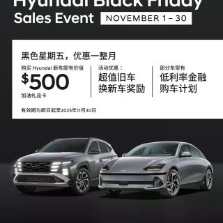 Hyundai现代 黑五11月优惠0%利...