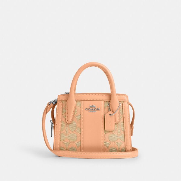 Andrea Mini Carryall 托特包