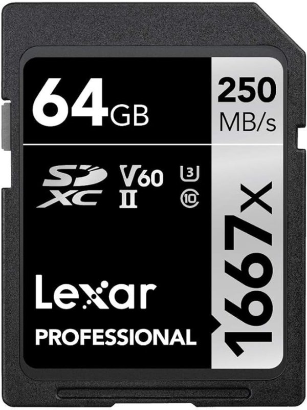 Professional 1667x 64GB SD存储卡