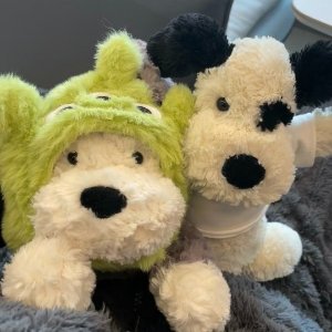 Jellycat 买到根本停不下来... 小鼻嘎吉娃娃$72、海盗狗$59