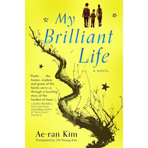 金爱烂 滔滔生活 My Brilliant Life