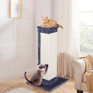 Beastie92厘米 立式猫抓塔