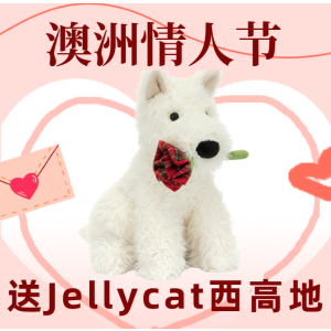 Jellycat限定🌹西高地倒计时