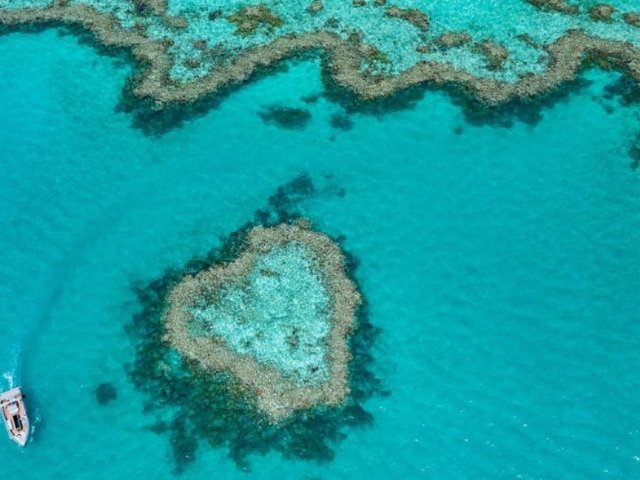 澳大利亚大堡礁旅游全攻略 - 最佳...