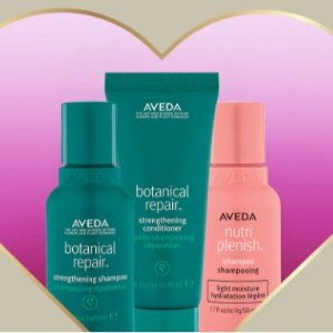 Aveda 情人节好礼❤️收紫森林生发系列、明星气垫梳