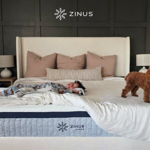 Zinus平价家具特卖 金属床架$109，热销绿茶床垫$139