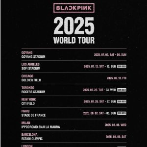 报❗携程上也能抢Blackpink世巡票了
