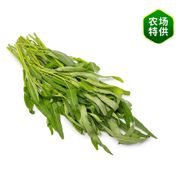 空心菜 1捆