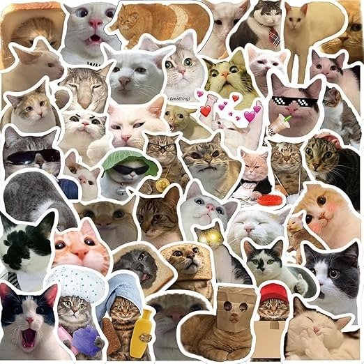 猫咪贴纸 50张
