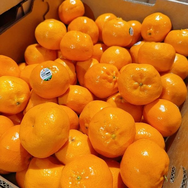 Imperial橘子 约1kg