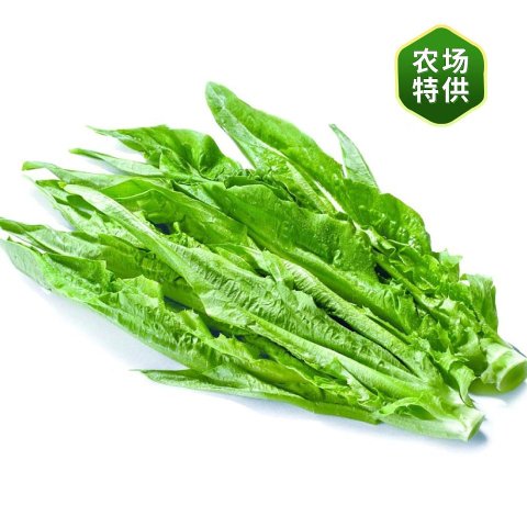 油麦菜 1捆