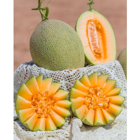 Rockmelon哈密瓜 1颗