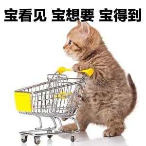 SSENSE 热卖推荐🛍️(已更新版) 发财宅女同款西太后耳钉$320