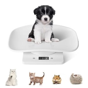 Digital Pet Scale 便携LED电子秤 22磅