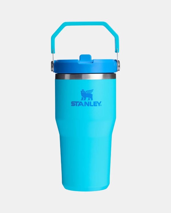 IceFlow Flip Straw 吸管杯 20盎司