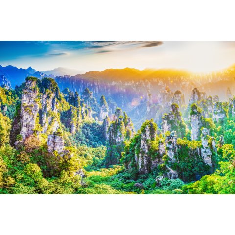 张家界森林公园 门票