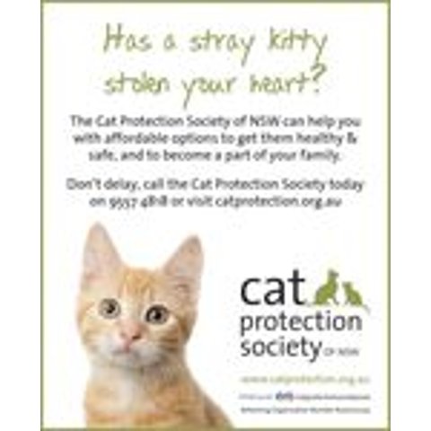 Cat Protection Society NSW 猫绝育疫苗芯片只要$100