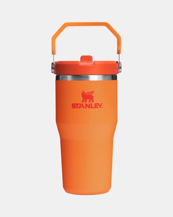 IceFlow Flipstraw 2.0 吸管杯 20盎司