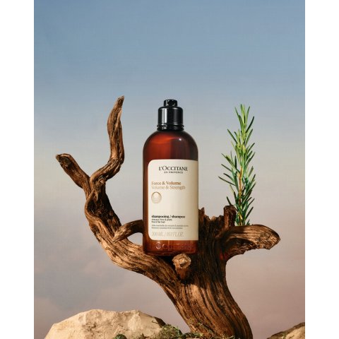 L Occitane丰盈 洗发水补充装