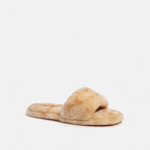 Blaire Slipper 羊毛拖鞋 女