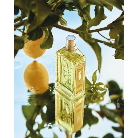 L Occitane马鞭草柑橘淡香水
