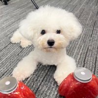 澳洲各大平台折扣