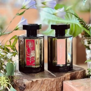 全线8.5折！寻找蝴蝶$241