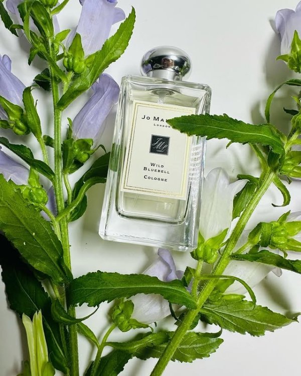 Wild Bluebell 蓝风铃古龙水 100ml