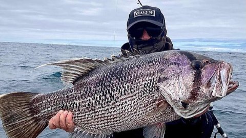 澳大利亚实施大规模新禁渔令：你需要了解的信息