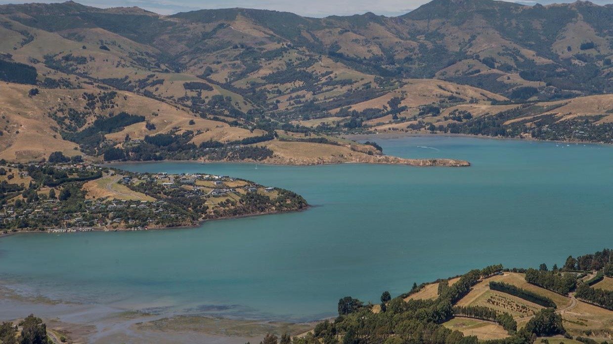 新西兰悲剧！基督城华人男子潜水觅食，失踪一小时后不幸身亡