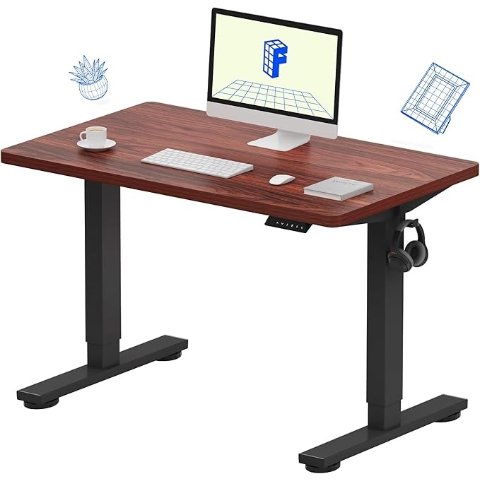 FLEXISPOTEC1 升降桌 100×60cm