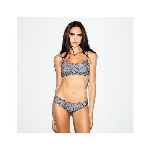 Cheeky Brief 经典款