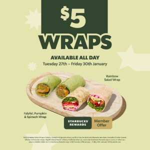 鹰嘴豆泥南瓜菠菜卷 纯素友好